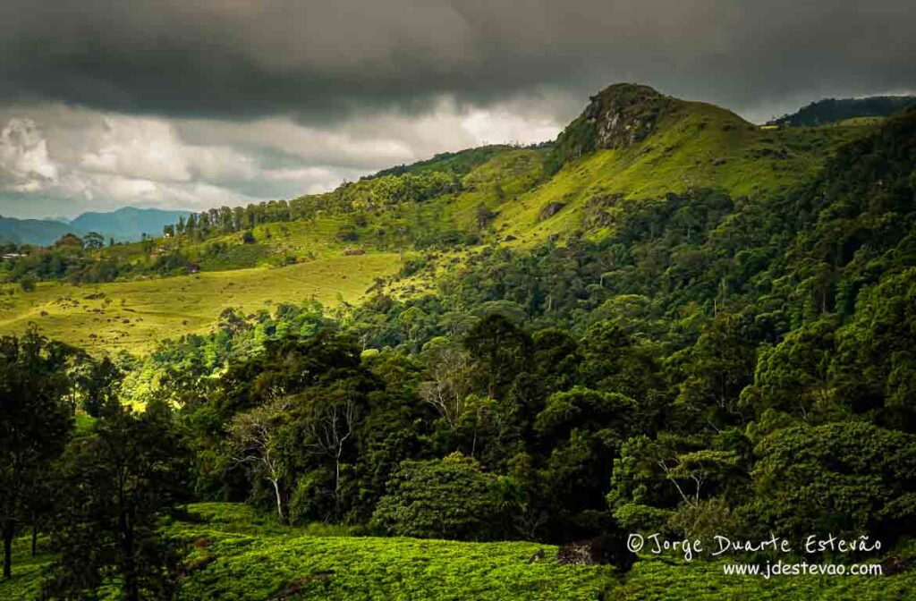 Nuvens escuras pairam sobre a Floresta de Sinharaja, enquanto a vegetação exuberante se estende pelas encostas do chá.