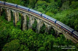 A beleza exuberante da floresta tropical de Ella, Sri Lanka, emoldura o Ponte dos Nove Arcos, enquanto um comboio azul e vermelho atravessa.