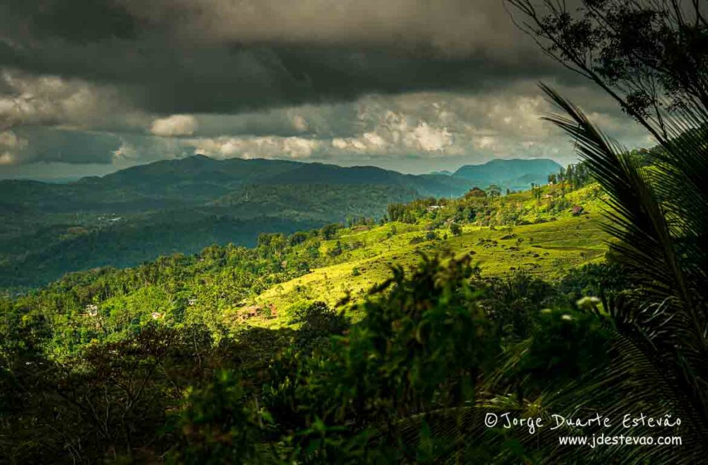 Paisagem exuberante da Floresta de Sinharaja, Sri Lanka, onde as cores vibrantes da vegetação tropical contrastam com as nuvens escuras que se aproximam.