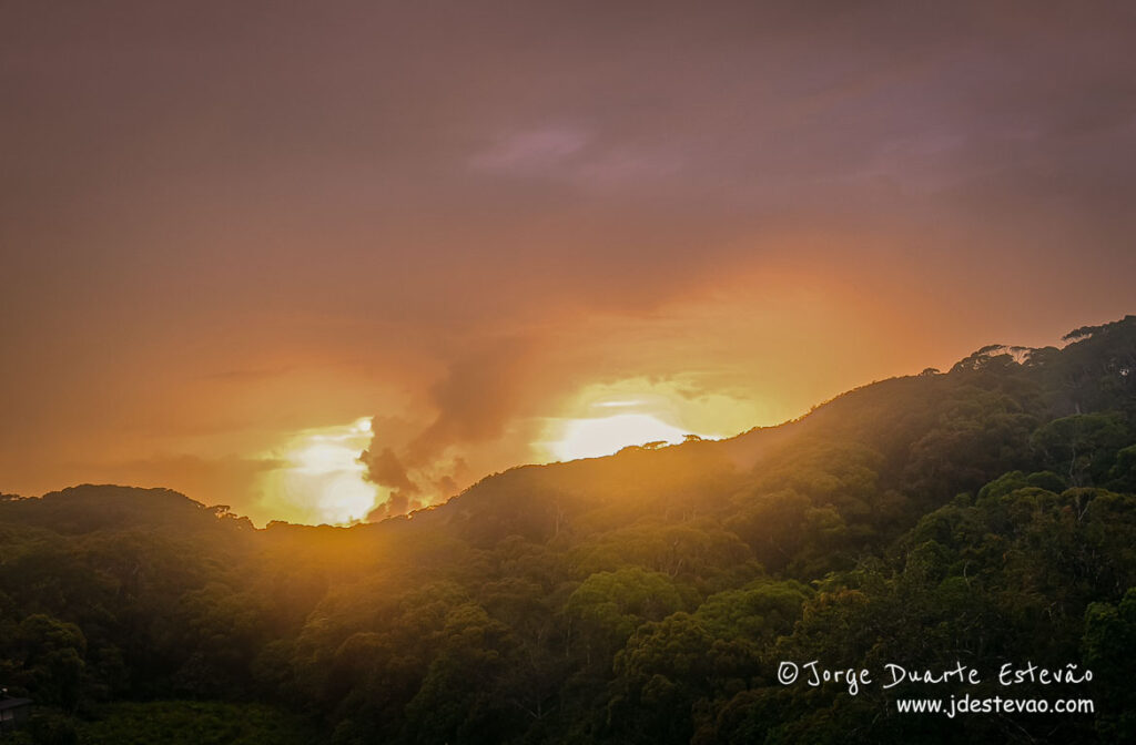 A luz do pôr-do-sol tinge a Floresta de Sinharaja em tons dourados.