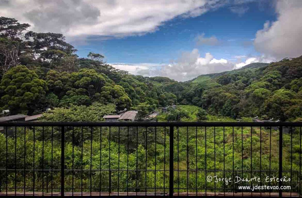 A beleza selvagem da Floresta de Sinharaja, Sri Lanka, vista do alojamento ecológico, Rainforest Eco Lodge