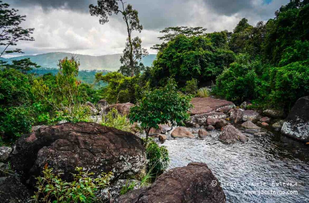 A tranquilidade de um riacho, ladeado por árvores imponentes, na Floresta de Sinharaja.