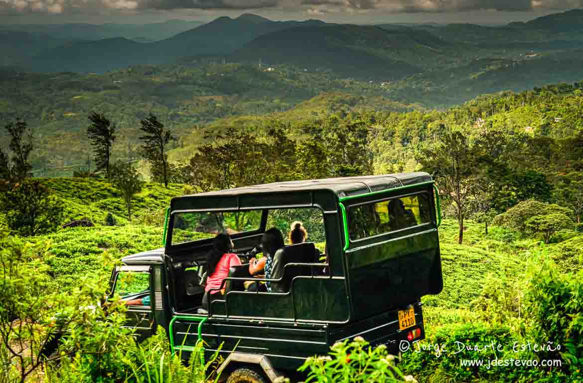 A Floresta de Sinharaja, Sri Lanka, revela-se em toda a sua majestade, com um veículo a deslocar-se por um caminho entre as plantações de chá.