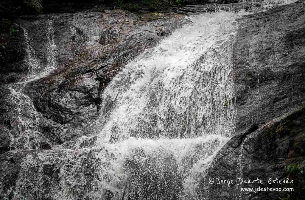 A beleza selvagem da Floresta de Sinharaja, revelada na força da cascata.